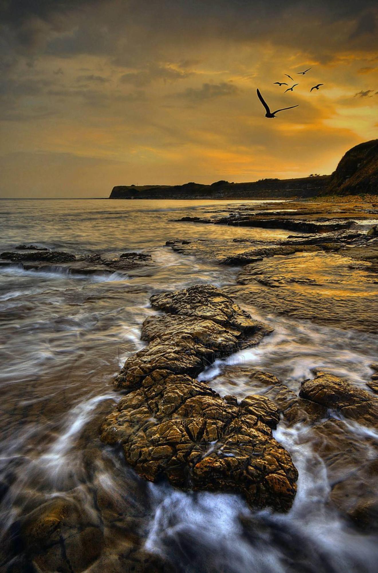 Home In Dorset, Near Jurassic Coast And Arne Wareham Eksteriør bilde
