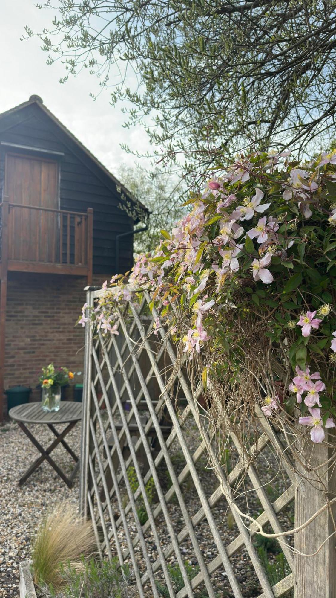 Home In Dorset, Near Jurassic Coast And Arne Wareham Eksteriør bilde